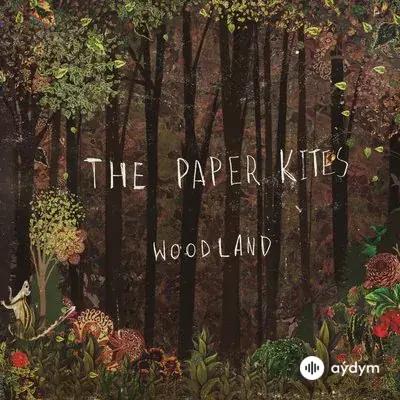 The Paper Kites  - Woodland 