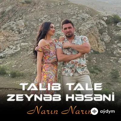 Talib Tale-Zeyneb Heseni - Narin Narin