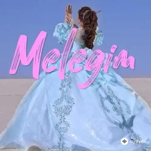 Melegim