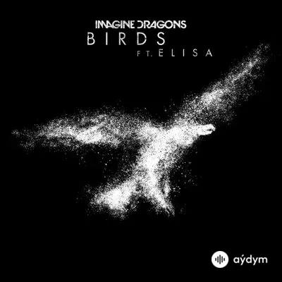 Imagine Dragons-Elisa  - Birds