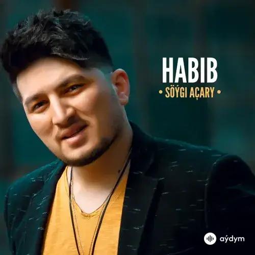 Söýgi Açary - Habib