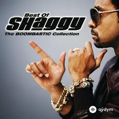 Shaggy - It Wasn't Me - & Ricardo Ducent