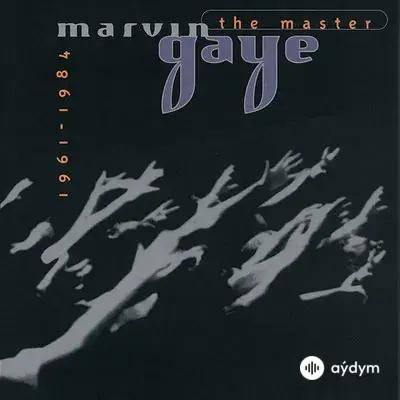 Marvin1 Gaye - Ain't No Mountain High Enough