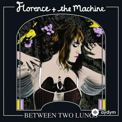 Florence + The Machine  - Dog Days Are Over 
