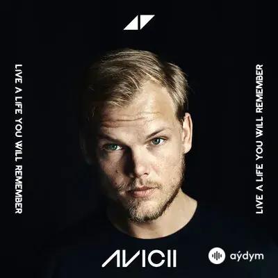 Avicii - The Nights