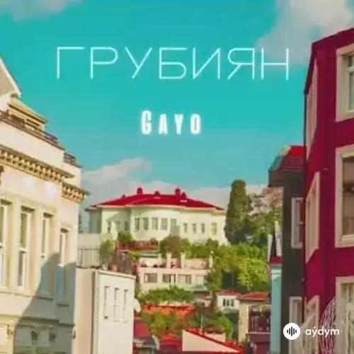 Грубиян - Gayo