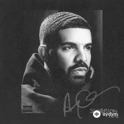 Drake - In My Feelings
