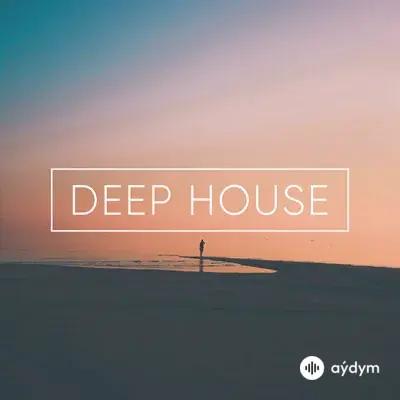 Aaron Snapes - Here They Go Again 
