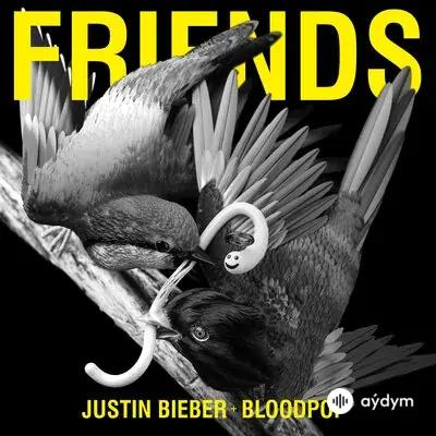 Justin Bieber - Friends