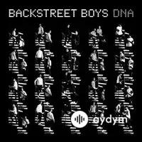 Backstreet Boys - Don't Go Breaking My Heart