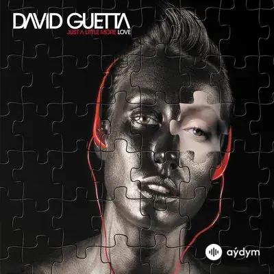 David Guetta-Chris Willis-Joachim Garraud - Atomic Food