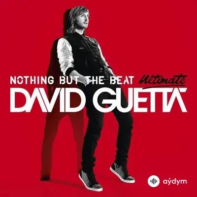 David Guetta-Tegan and Sara - Every Chance We Get We Run