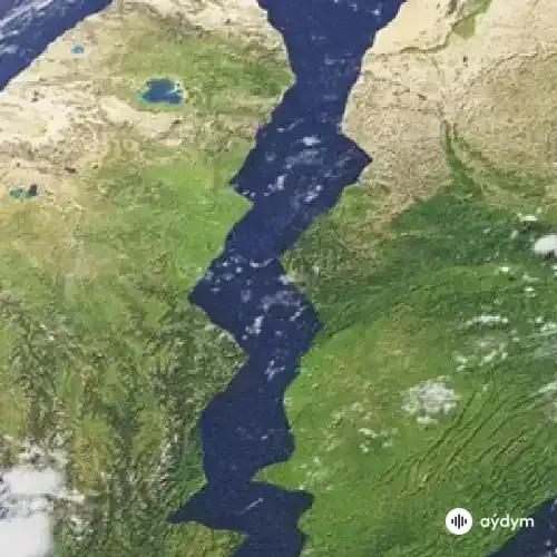 Naliya -Blackbear  - Pangaea 