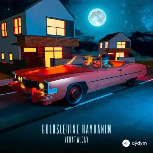 Vedat Alçay - Gülüşlerine Hayranım