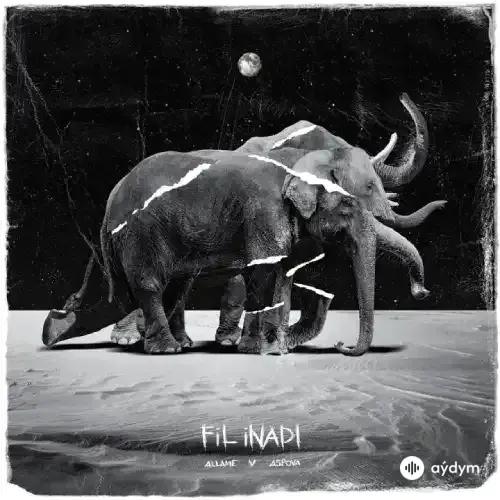 Fil İnadı - Allame & Aspova