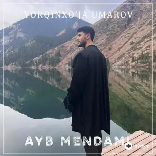 Ayb mendami - Yorqinxo'ja Umarov