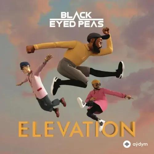 Black Eyed Peas - Guarantee