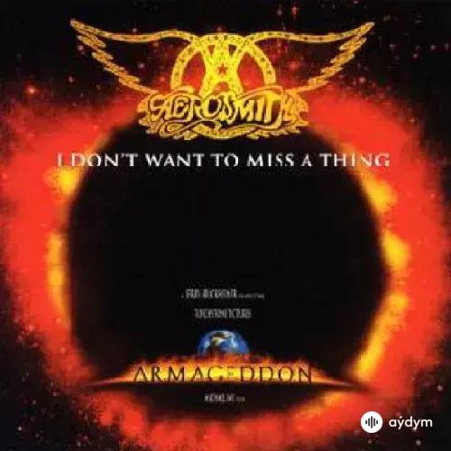 Aerosmith  - I Don't Want To Miss A Thing 