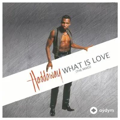 Haddaway  - What Is Love 