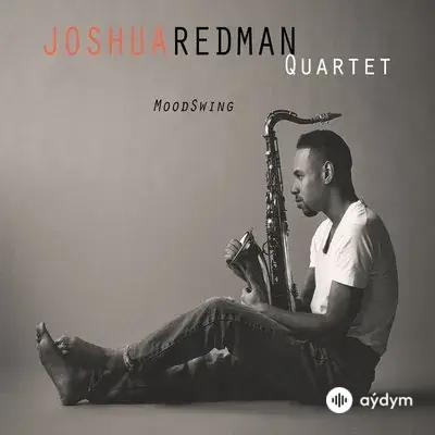 Joshua Redman - Chill