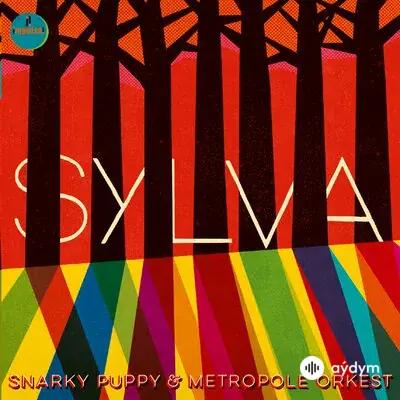 Snarky Puppy - Flight (Live) - & Metropole Orkest