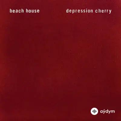 Beach House - Space Song