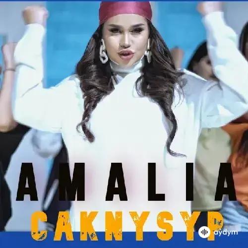 Çaknyşyp - Amalia Zehin