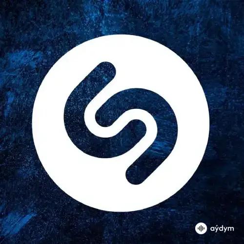 Shazam Top-100 November