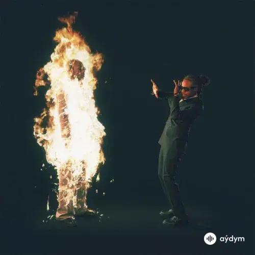 Metro Boomin-Future -Chris Brown - Superhero