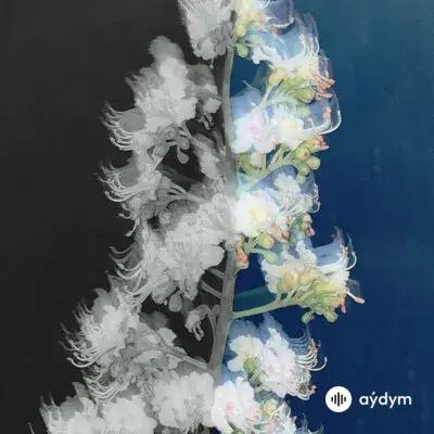 Rauf & Faik - Проспекты лифты города