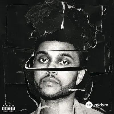 The Weeknd - In The Night