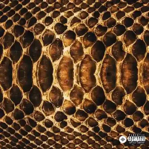 Patron - Kusursuz - & Alaylı & Astral