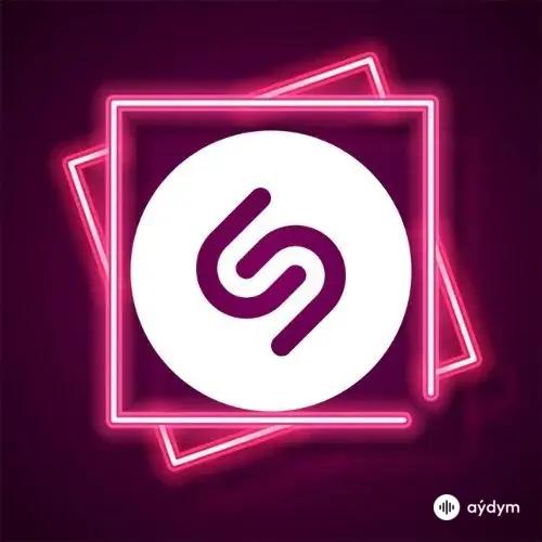 Shazam Top-100 December