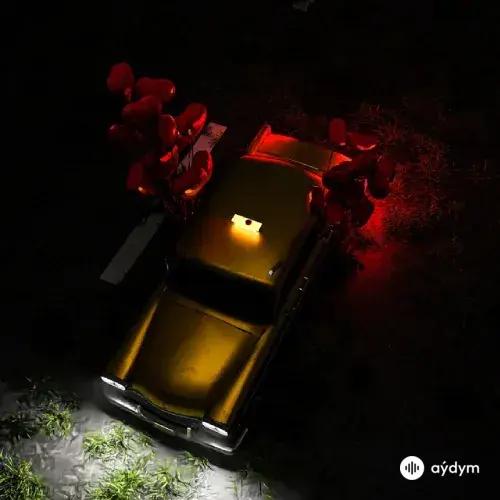  Cakal -Arman Aydin -Arem Ozguc - Diyardan Diyara