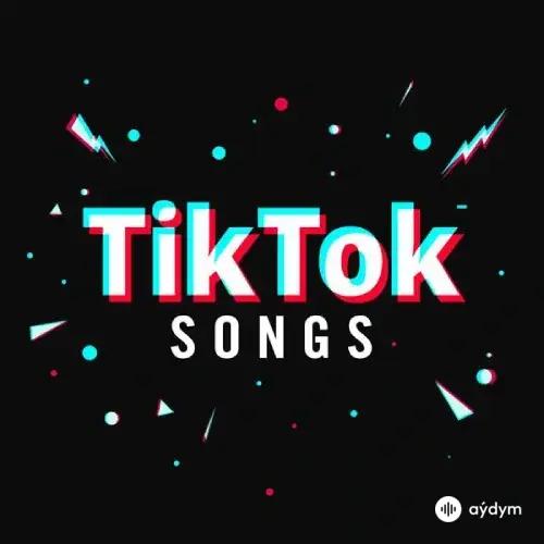 Best Tik Tok Songs 2023