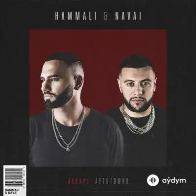 HammAli & Navai - Холода - не беда