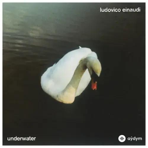 Ludovico Einaudi - Temple White