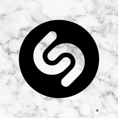 Shazam Top-100 January