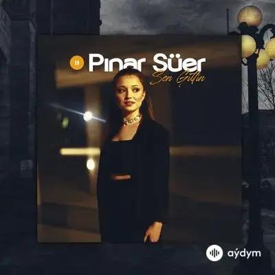 Pinar Süer - Sen Gittin
