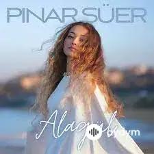 Pinar Süer - Alagül