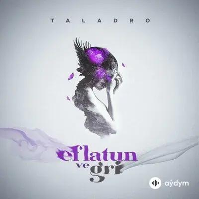 Taladro - Eflatun ve Gri