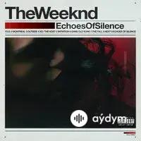 Echoes Of Silence (2011)