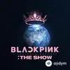 Blackpink  - Kill This Love (Live)