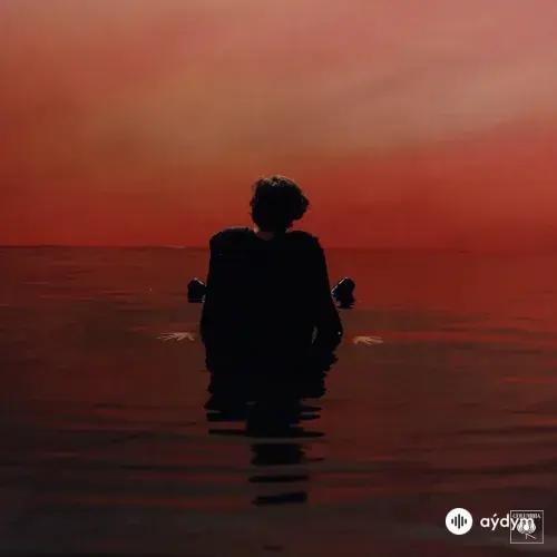 Harry Styles - Ever Since New York
