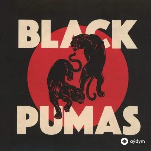 Black Pumas  - Colors 