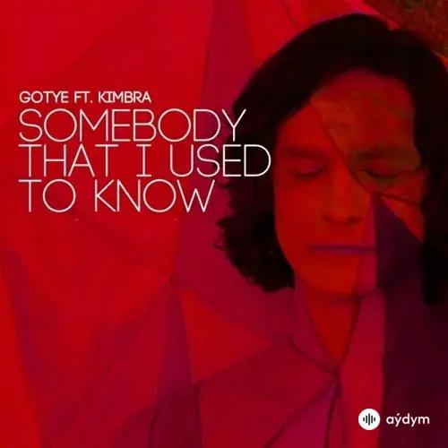 Gotye  - Somebody That I Used To Know