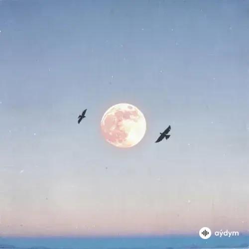 Даша Волосевич-Райс - Небо - Это Ты