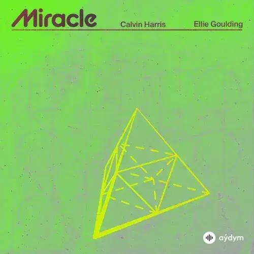 Calvin Harris-Ellie Goulding - Miracle