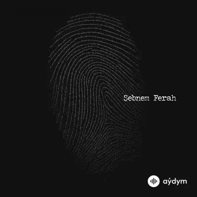 Şebnem Ferah - Vicdan