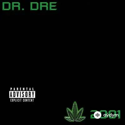 Snoop Dogg - The Next Episode - & Dr. Dre